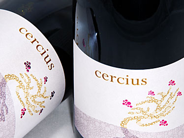 Michel Gassier Cercius Visan Cotes du Rhone-Villages 2009