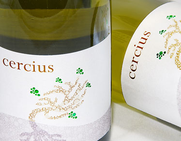 Michel Gassier Cercius Cotes du Rhone Blanc 2009